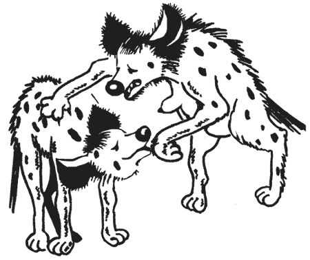 Милена Сигаева - Странности животной сексуальности. Как они делают это...?