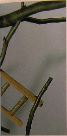 Хорст Бильфельд - Волнистые попугаи