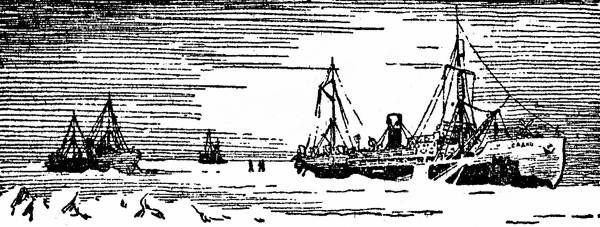 Константин Бадигин - Три зимовки во льдах Арктики