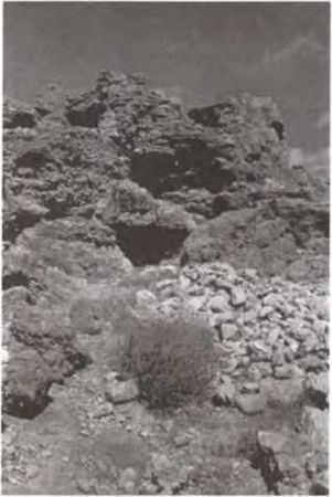 Джеймс Вандеркам - Свитки Мертвого моря. Долгий путь к разгадке