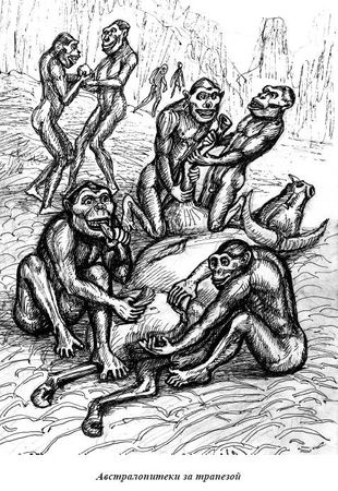 Александр Белов - Тайная родословная человека. Загадка превращения людей в животных