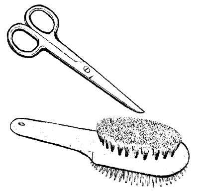 Марина Куропаткина - Американский кокер-спаниель