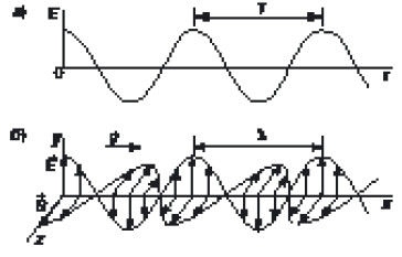 Коллектив авторов - Концепции современного естествознания: Шпаргалка