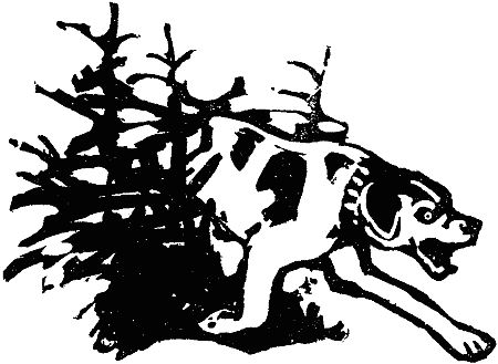 Чарлз Робертс - В долинах Рингваака [Рыжий Лис]