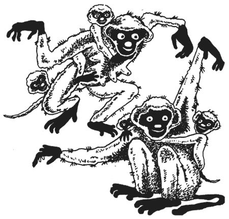 Милена Сигаева - Странности животной сексуальности. Как они делают это...?