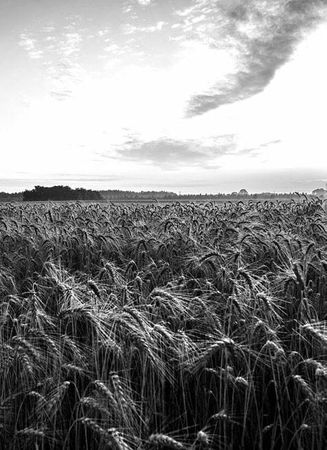 Владимир Головин - По ту сторону смерти. Ответы на вопросы