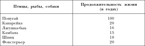Марина Куропаткина - Американский кокер-спаниель