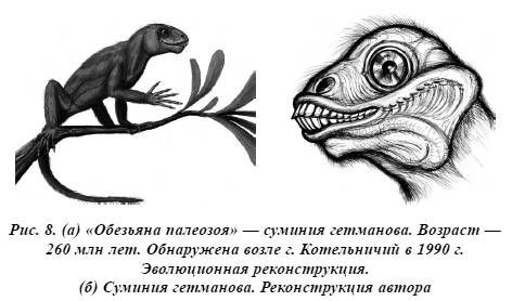 Александр Белов - Тайная родословная человека. Загадка превращения людей в животных