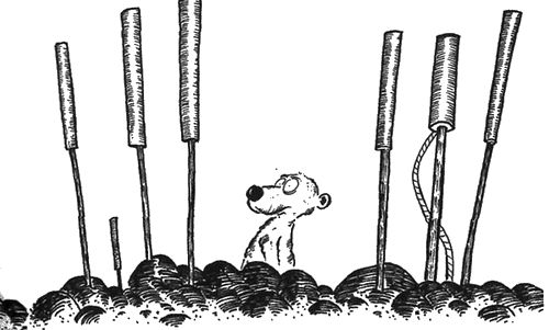 Вальтер Моэрс - 13 1/2 жизней капитана по имени Синий Медведь