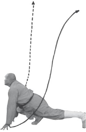 Ши Децянь, Алексей Маслов - Гимнастика Бодхидхармы