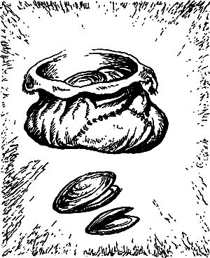 Владимир Головин, Виктор Мироглов и др. - Бронзовый топор