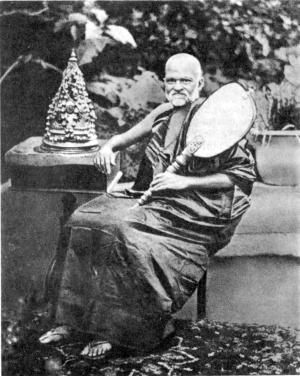 Елена Блаватская - Письма из пещер и дебрей Индостана