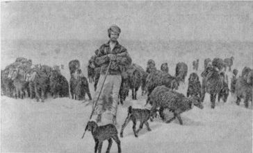 Виктор Трубников - Три года в Кувейте