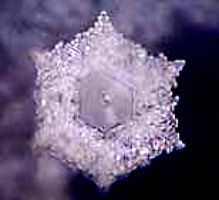 Александр Белый, Тамара Белая - Тайная Доктрина дней Апокалипсиса. Книга 1