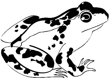 Питер Мейл - Путешествие с вилкой и штопором