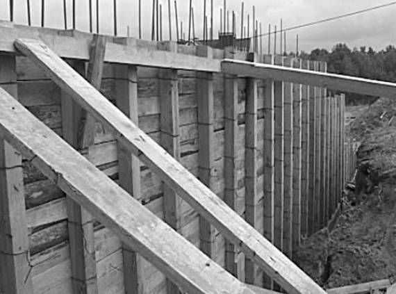 Евгений Симонов - Строительство дома быстро и дешево