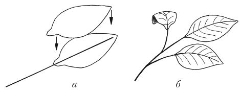 Елена Каминская - Поделки из бумаги, игрушки, сувениры и подарки