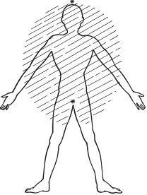 Дмитрий Верищагин - Зрелость. Система навыков Дальнейшего ЭнергоИнформационного...