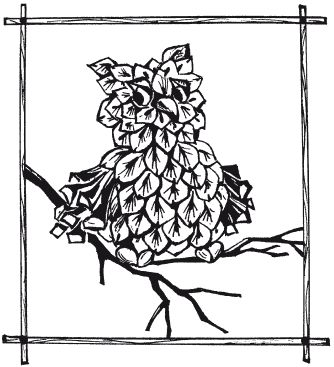 Елена Каминская - Мозаика из крупы и семян