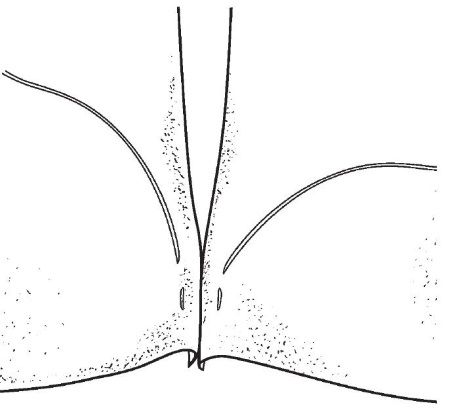Ольга Захаренко - Обувь для дома своими руками