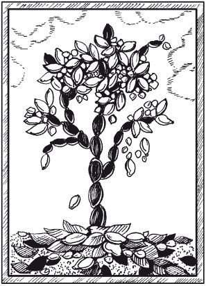 Елена Каминская - Мозаика из крупы и семян