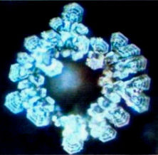 Александр Белый, Тамара Белая - Тайная Доктрина дней Апокалипсиса. Книга 1