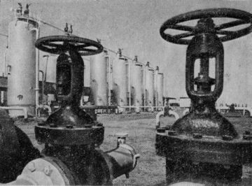 Виктор Трубников - Три года в Кувейте