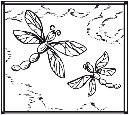 Елена Каминская - Мозаика из крупы и семян