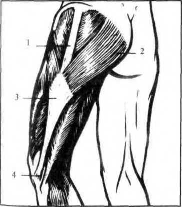Джозеф Хавилер - Тело танцора
