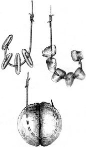 Ирина Катаева - Особенности ловли рыб семейства карповых