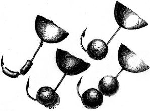 Ирина Катаева - Особенности ловли рыб семейства карповых