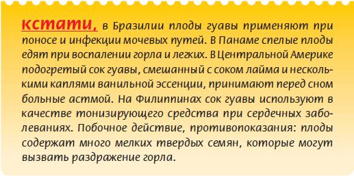 Татьяна Дорошенко - Плодоносящие растения