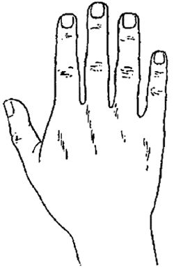 Елена Лома - Лучшие гадания от А до Я