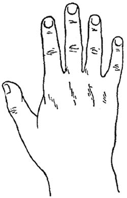 Елена Лома - Лучшие гадания от А до Я