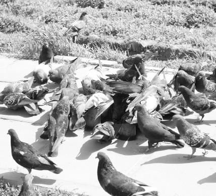 Николай Андрианов - Зачем переплачивать? Как сэкономить при покупке ноутбуков,...