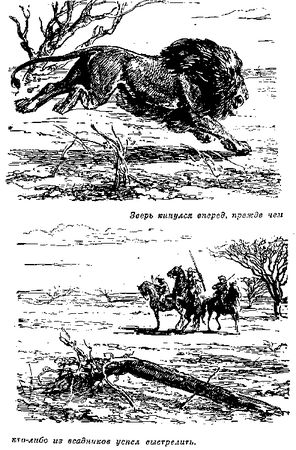 Томас Рид - Собрание сочинений, том 4. В дебрях Южной Африки. Юные охотники....