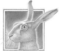 Терри Пратчетт - Я надену платье цвета ночи