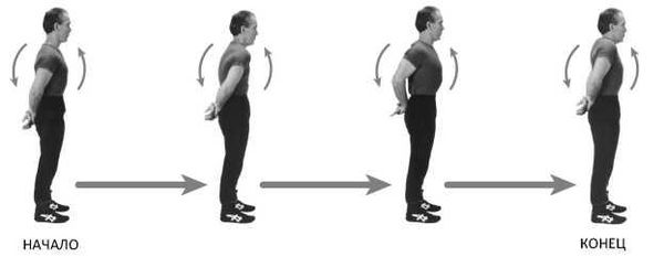 Дэн Миллман - Совершенное владение телом и разумом. Как добиться успеха в...