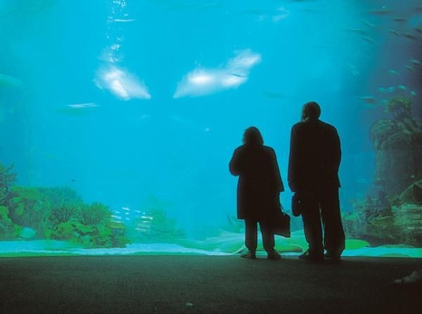 Робин Фроммер, Габриэль Кальво и др. - Лиссабон. Путеводитель