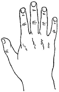 Елена Лома - Лучшие гадания от А до Я