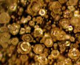 Александр Белый, Тамара Белая - Тайная Доктрина дней Апокалипсиса. Книга 1