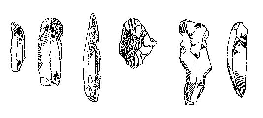 Леонид Серебрянный - Древнее оледенение и жизнь