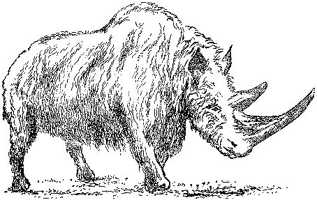 Леонид Серебрянный - Древнее оледенение и жизнь