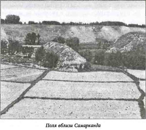 Гарольд Лэмб - Тамерлан. Потрясатель вселенной