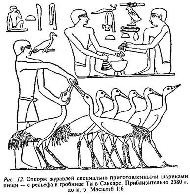 Сирил Альдред - Египтяне. Великие строители пирамид