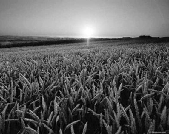 Крис Касперски - Энциклопедия примет погоды. Предсказание погоды по местным признакам