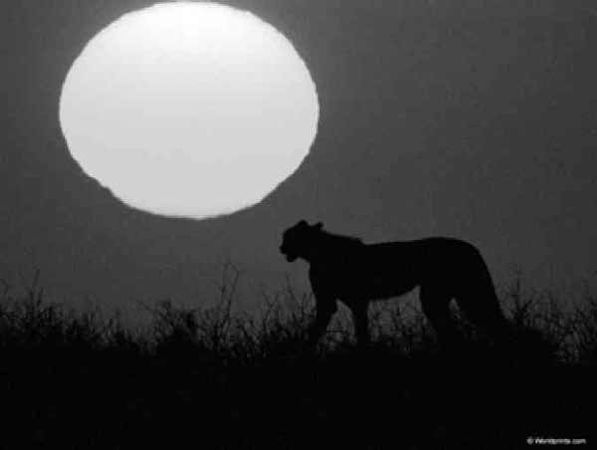 Крис Касперски - Энциклопедия примет погоды. Предсказание погоды по местным признакам