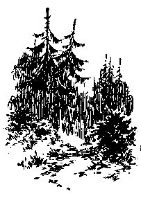 Александр Казанцев - Арктический мост