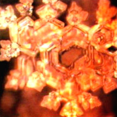 Александр Белый, Тамара Белая - Тайная Доктрина дней Апокалипсиса. Книга 1