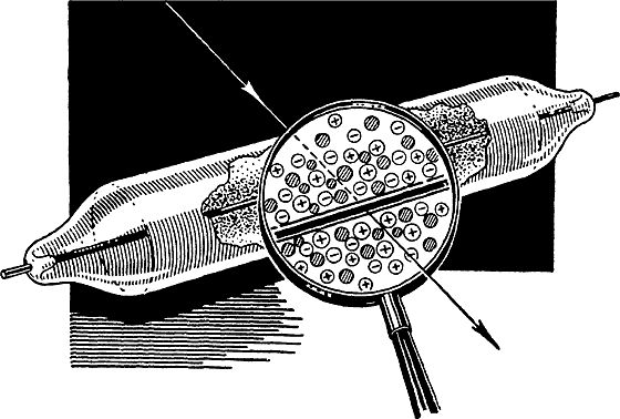 Виталий Рыдник - Охотники за частицами